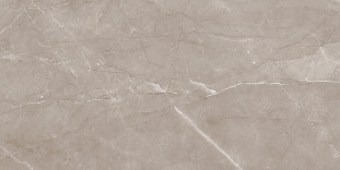 Laparet Savoy настенная коричневый 08-01-15-2460 20х40