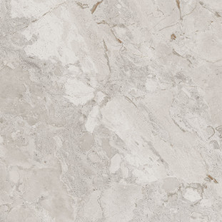 Cerdomus Karnis Широкоформатный керамогранит Silver Levigato 93516, 120х120