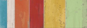 ABK Dolphin Snip Paint MIX 15x20