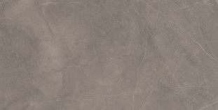 Laparet Dosimo Grey серый 60х120 Сатинированный Карвинг