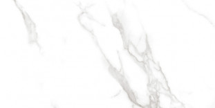Neodom Splendida Statuario Irish Grey Polished 60x120