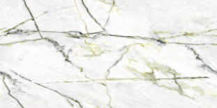 Neodom Splendida Calacatta Green (Book) Polished 60x120