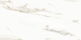 Neodom Splendida Marmol Carrara Polished 60x120