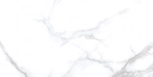 Neodom Splendida Statuario Chic Polished 60x120