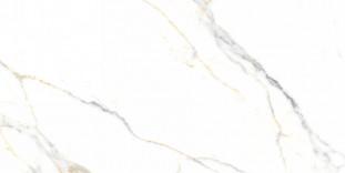Neodom Splendida Statuario Platinum Carving 60x120