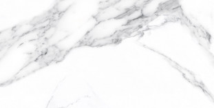 Neodom Supreme Calacatta Classico Polished 60x120