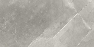 Neodom Supreme Fior di Bosco Polished 60x120