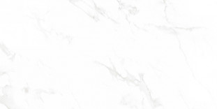 Neodom Supreme Venus Bianco Polished 60x120