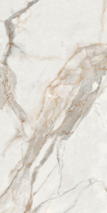 Neodom Titanium Alpe Di Siusi Polished 120x278