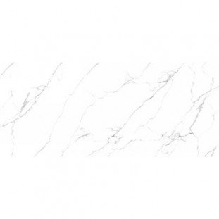 Neodom Titanium Mckinley 120x280
