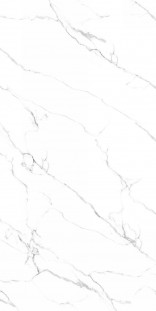 Neodom Titanium Mckinley Polished 120x278