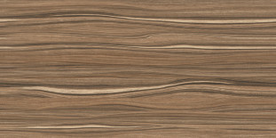 Alma Ceramica Plesso TWU09PLS424 плитка облицовочная 24.9х50