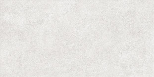 Alma Ceramica Discover TWU2550DCV04 плитка облицовочная рельефная 24.9х50
