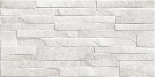 Alma Ceramica Discover TWU2550DCV14 плитка облицовочная рельефная 24.9х50
