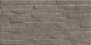 Alma Ceramica Discover TWU2550DCV24 плитка облицовочная рельефная 24.9х50