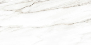 Alma Ceramica Euphoria TWU2550EPH04 плитка облицовочная 24.9х50