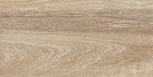 Alma Ceramica Euphoria TWU2550EPH40 плитка облицовочная рельефная 24.9х50