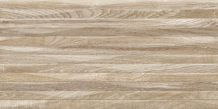 Alma Ceramica Euphoria TWU2550EPH44 плитка облицовочная рельефная 24.9х50