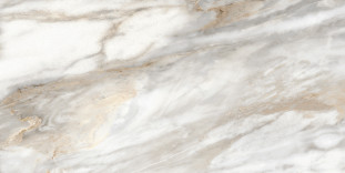 Alma Ceramica Euphoria TWU2550EPH74 плитка облицовочная 24.9х50
