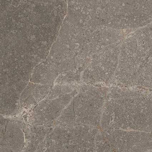 Atlas Concorde Russia Allure Вставка Grey Beauty Bottone 7.2x7.2