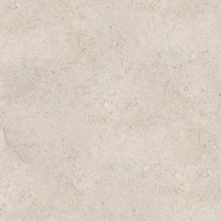 Porcelanosa Dorcia Bone L 120x120