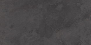 Porcelanosa Image Dark 59.6x120
