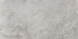 Porcelanosa Image Silver 59.6x120