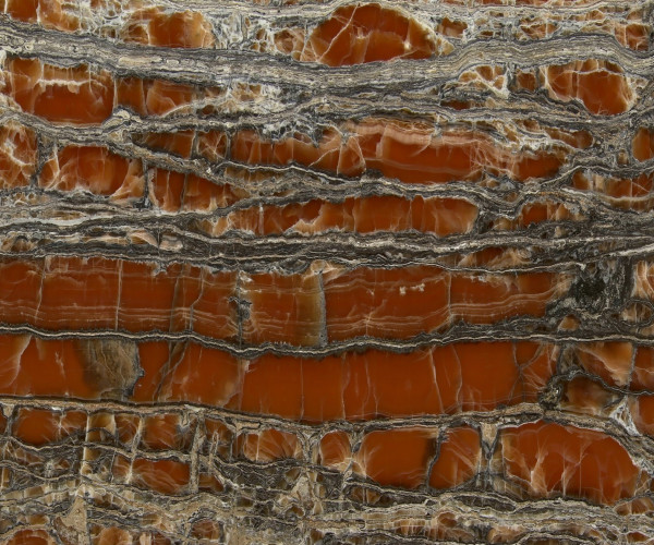 VEIN CUT