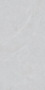 Basconi Home Cateye Light Grey BHW-0023 Cateye Light Grey 600x1200x10 grains soft-polished mould