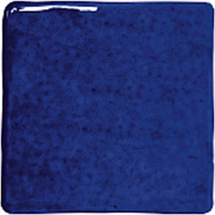 WOW Roots Indigo S Gloss 11x11
